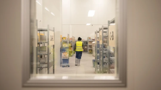 A Kifli végleg szakított Balásyval és 276 ezer új háztartásba kopogtatna be 